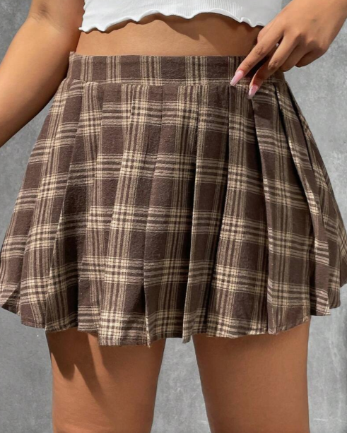 Plaid Print Pleated Skirt